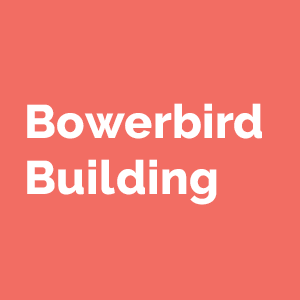 bowerbird building